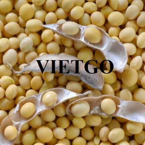 (Gấp) Cơ hội hợp tác xuất khẩu đậu nành đến thị trường Indonesia 