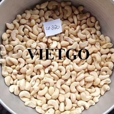 Cơ hội xuất khẩu hạt điều W320 sang thị trường New Zealand