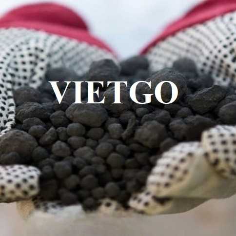 Cơ hội hợp tác xuất khẩu clinker sang thị trường Ai Cập