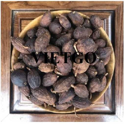 Cơ hội hợp tác xuất khẩu thảo quả sang thị trường Ấn Độ