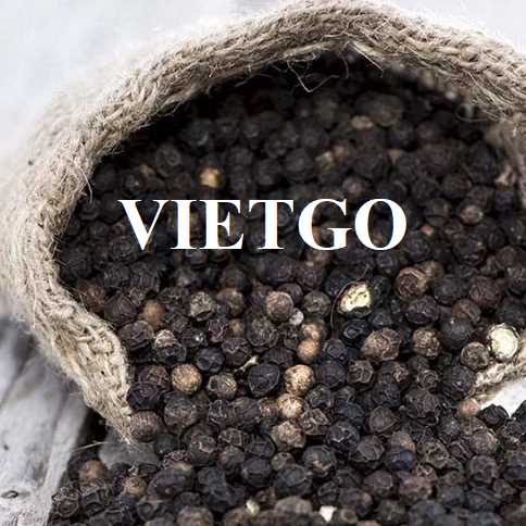 (Gấp) Cơ hội hợp tác xuất khẩu hạt tiêu đến thị trường Ấn Độ  