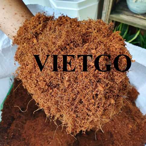 Cơ hội hợp tác xuất khẩu mụn xơ dừa đến thị trường Ai Cập 