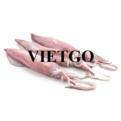 Cơ hội xuất khẩu mực và bạch tuộc sang thị trường Bangladesh