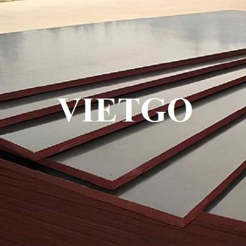 Thương vụ xuất khẩu sản phẩm gỗ dán phủ phim sang thị trường Mỹ