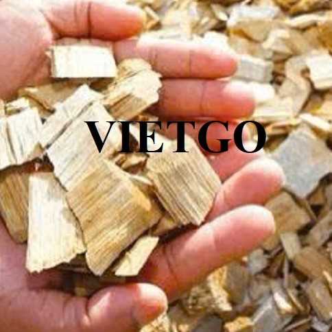 Thương vụ xuất khẩu gỗ vụn sang thị trường Ấn Độ