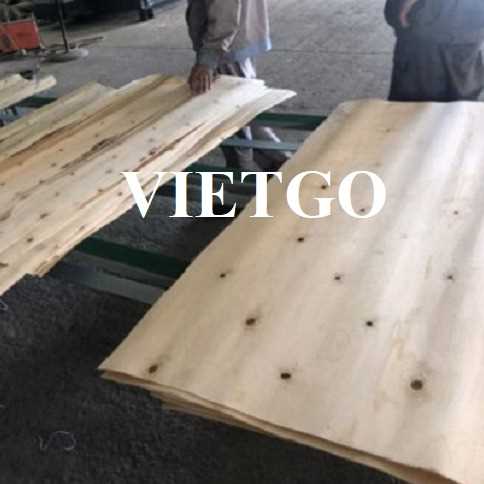 Thương vụ xuất khẩu ván bóc sang thị trường Ấn Độ