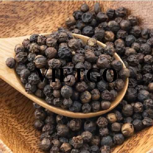 Cơ hội hợp tác xuất khẩu hạt tiêu đen đến thị trường Ấn Độ