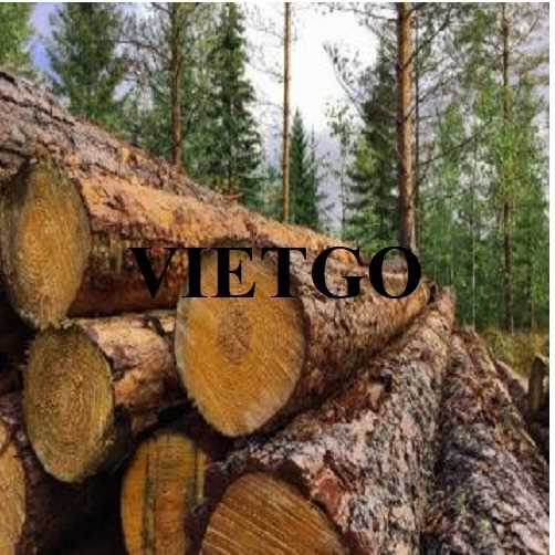 Thương vụ xuất khẩu gỗ thông tròn sang thị trường Ấn Độ