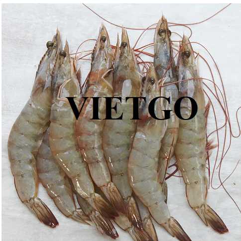 Cơ hội xuất khẩu tôm thẻ chân trắng sang thị trường Singapore