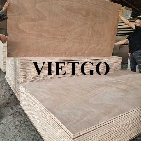 Thương vụ xuất khẩu gỗ dán sang thị trường Ấn Độ