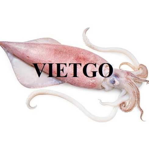 Đơn hàng xuất khẩu mực sang thị trường Thổ Nhĩ Kỳ