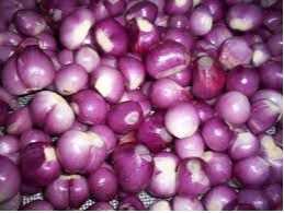 Cần tìm cước biển cho hàng hành tím đến cảng Colombo, Sri Lanka