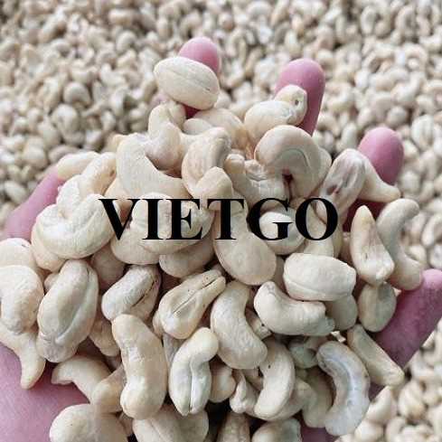 Cơ hội hợp tác xuất khẩu hạt điều W180 đến thị trường Mỹ