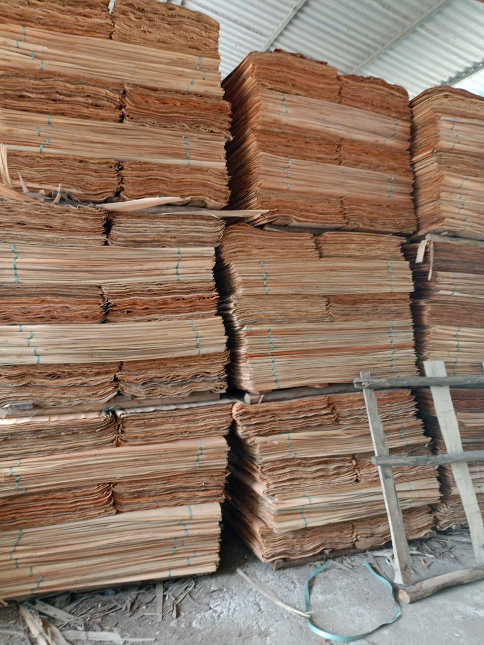 Cần tìm FWD báo giá cước vận tải hàng ván bóc đi Ấn Độ