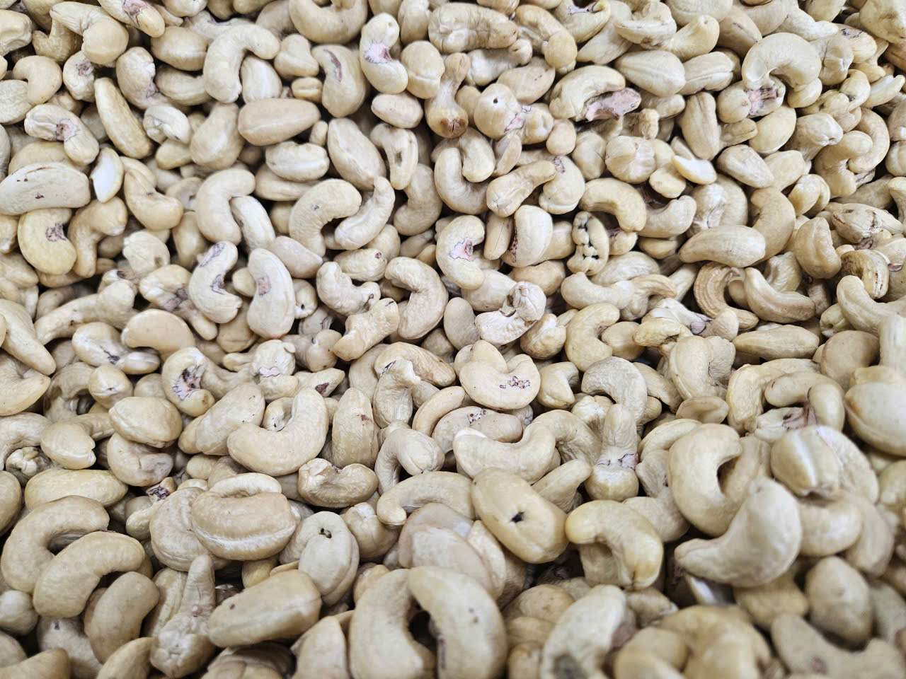 Cần tìm cước biển cho hàng điều đến Chennai, Ấn Độ