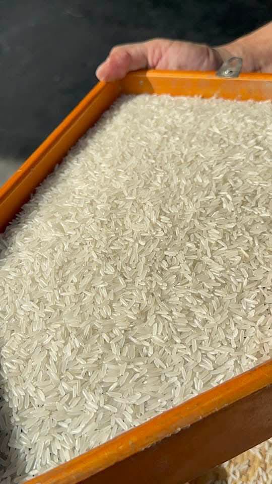 Tìm đơn vị vận chuyển báo giá sản phẩm gạo