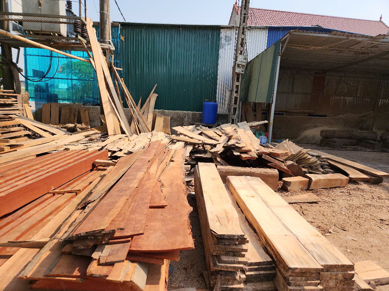 Cần tìm FWD báo giá cước vận tải hàng gỗ keo xẻ đi Mỹ