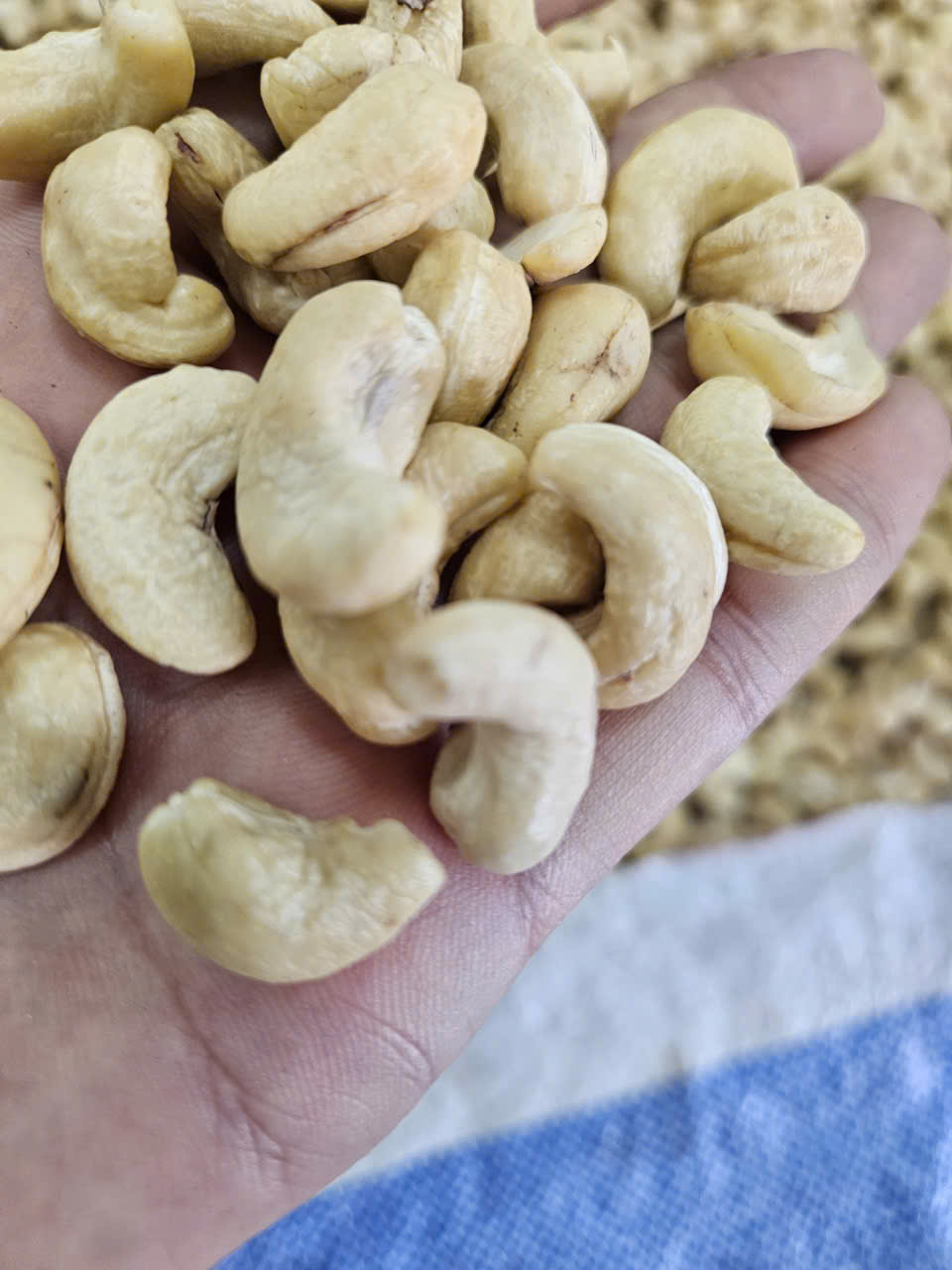 Cần tìm cước biển cho hàng điều