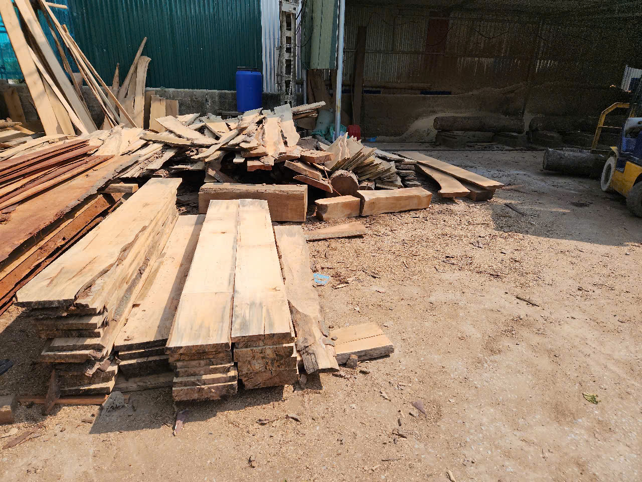 Cần tìm FWD báo giá cước vận tải hàng gỗ xẻ đi Belize