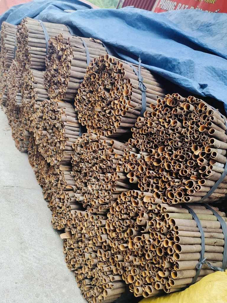 Cần tìm đơn vị vận tải vận chuyển mặt hàng quế đi Ấn Độ