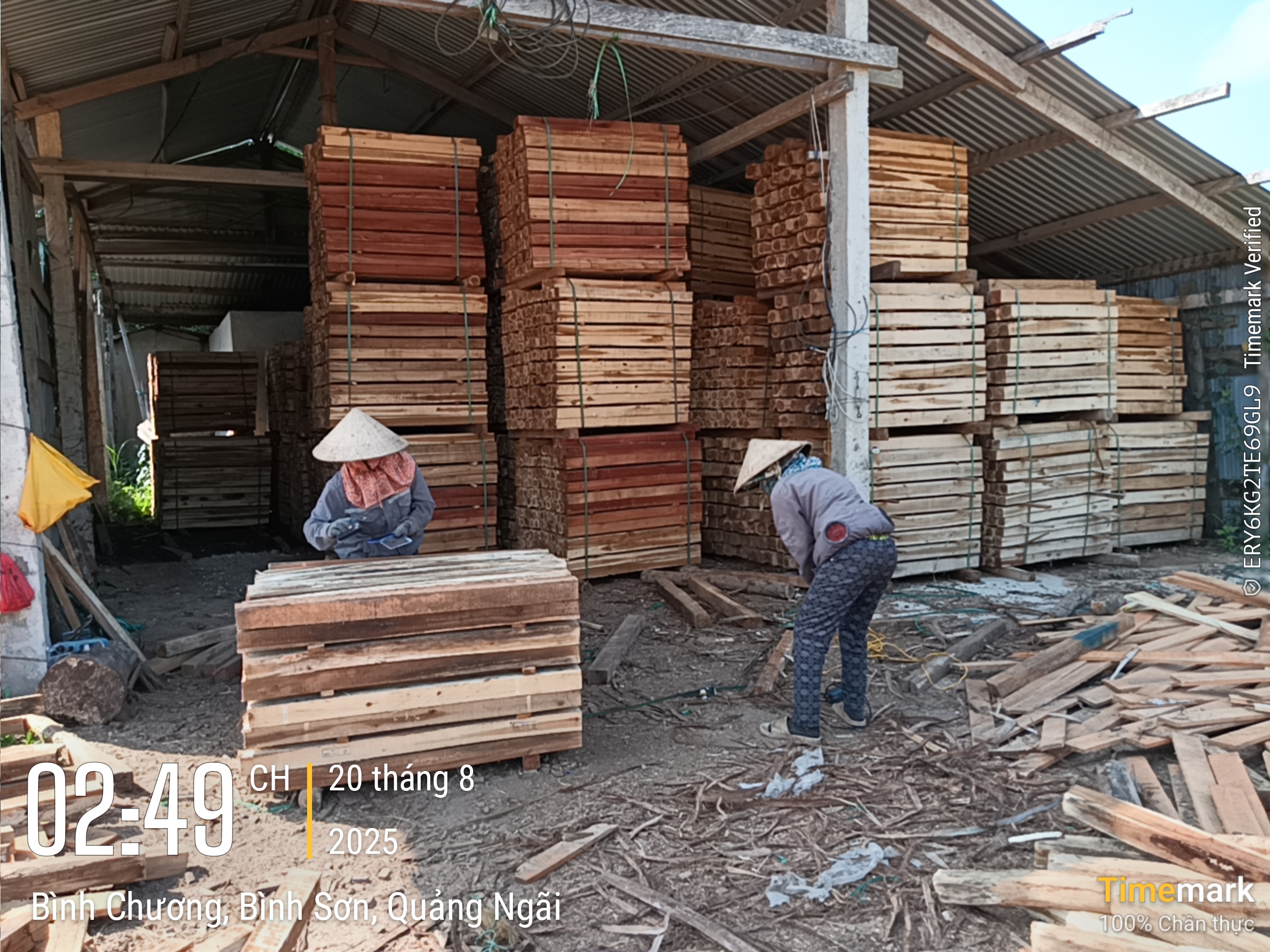 Cần tìm vận tải sản phẩm gỗ xẻ sang Quãng Châu 