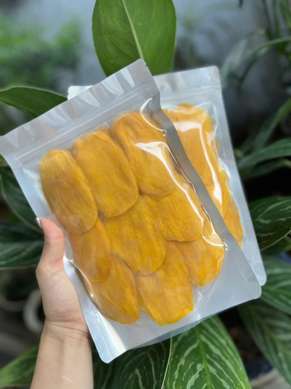 Cần tìm đơn vị vận tải vận chuyển hàng trái cây sấy đi Li Băng