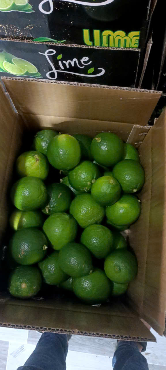 Cần tìm đơn vị vận tải vận chuyển hàng chanh đi Ả Rập