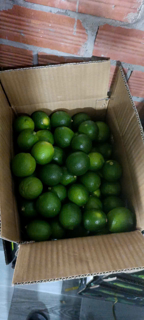 Cần tìm đơn vị vận tải vận chuyển hàng chanh đi Lào