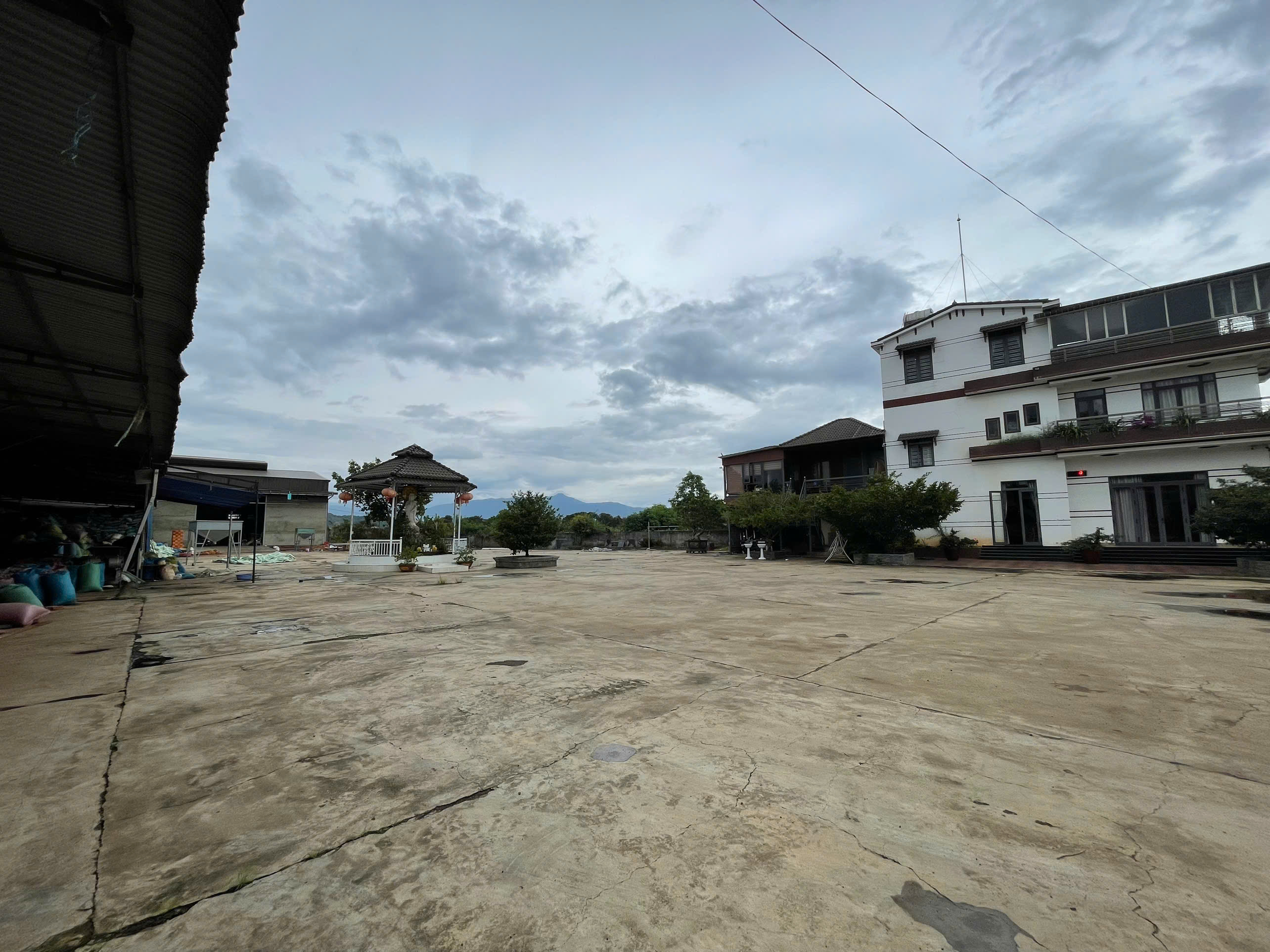 CẦN TÌM ĐƠN VỊ VẬN TẢI VẬN CHUYỂN MẶT HÀNG HẠT TIÊU ĐI HY LẠP VÀ THÁI LAN