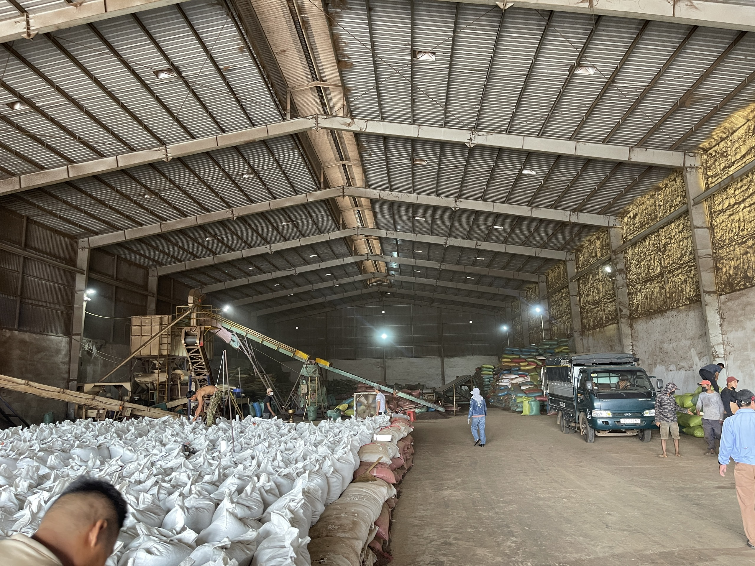 CẦN GIÁ CƯỚC BIỂN XUẤT KHẨU HẠT TIÊU ĐẾN PAKISTAN VÀ AI CẬP