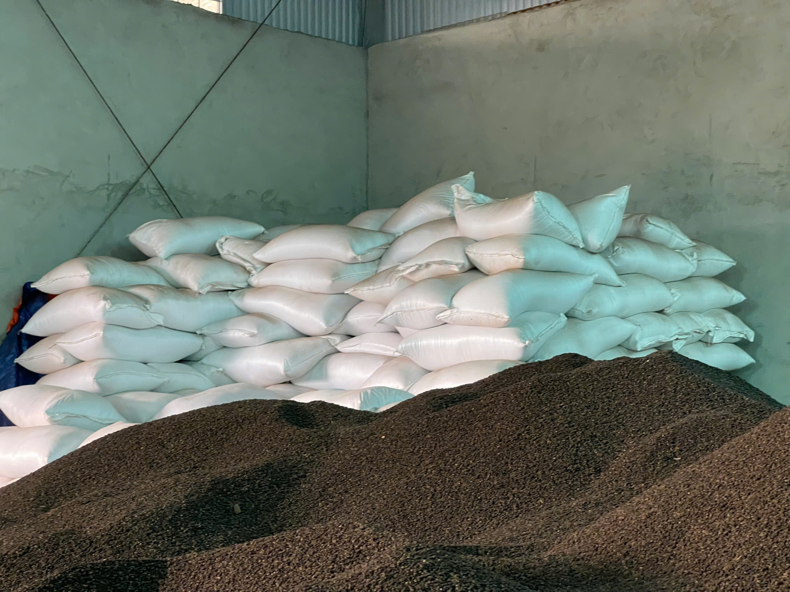 TÔI CẦN GIÁ CƯỚC BIỂN XUẤT KHẨU HẠT TIÊU ĐI MUNDRA