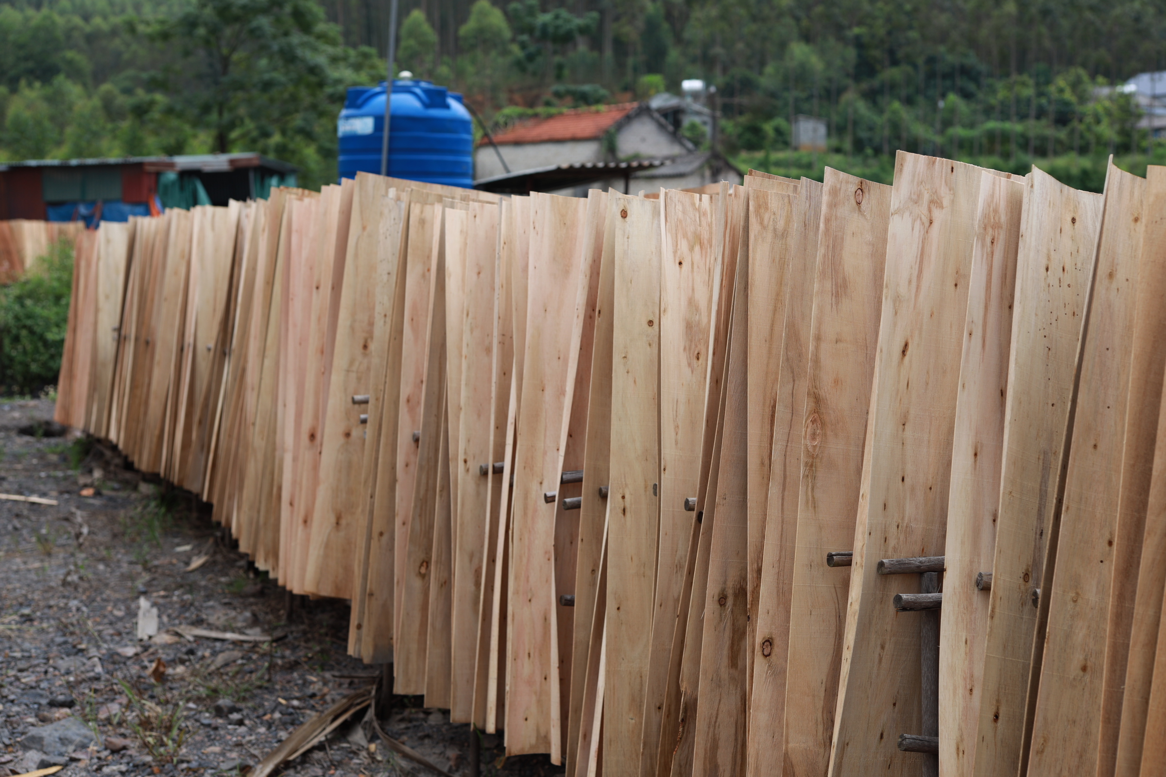 Cần tìm nhà vận tải biển sang Ấn Độ với đơn hàng 1 cont 40 fit ván bóc