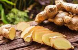 Cần tìm đơn vị vận tải vận chuyển hàng Gừng đi Bangladesh