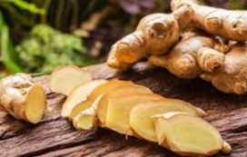 Cần tìm đơn vị vận tải vận chuyển hàng Gừng đi Ấn Độ