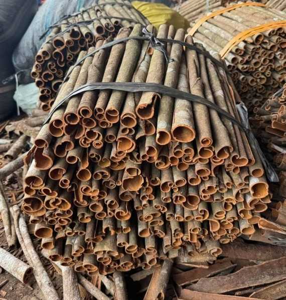 Cần tìm đơn vị vận tải vận chuyển hàng quế đến Ấn Độ