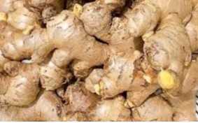 Cần tìm đơn vị vận tải sản phẩm gừng tươi đến cảng Jeddah, Ấn Độ