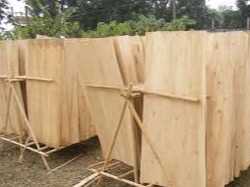 Cần tìm đơn vị vận tải vận chuyển mặt hàng ván bóc đi Ấn Độ