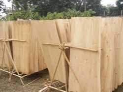 Cần tìm đơn vị vận tải vận chuyển mặt hàng ván bóc đi Ấn Độ