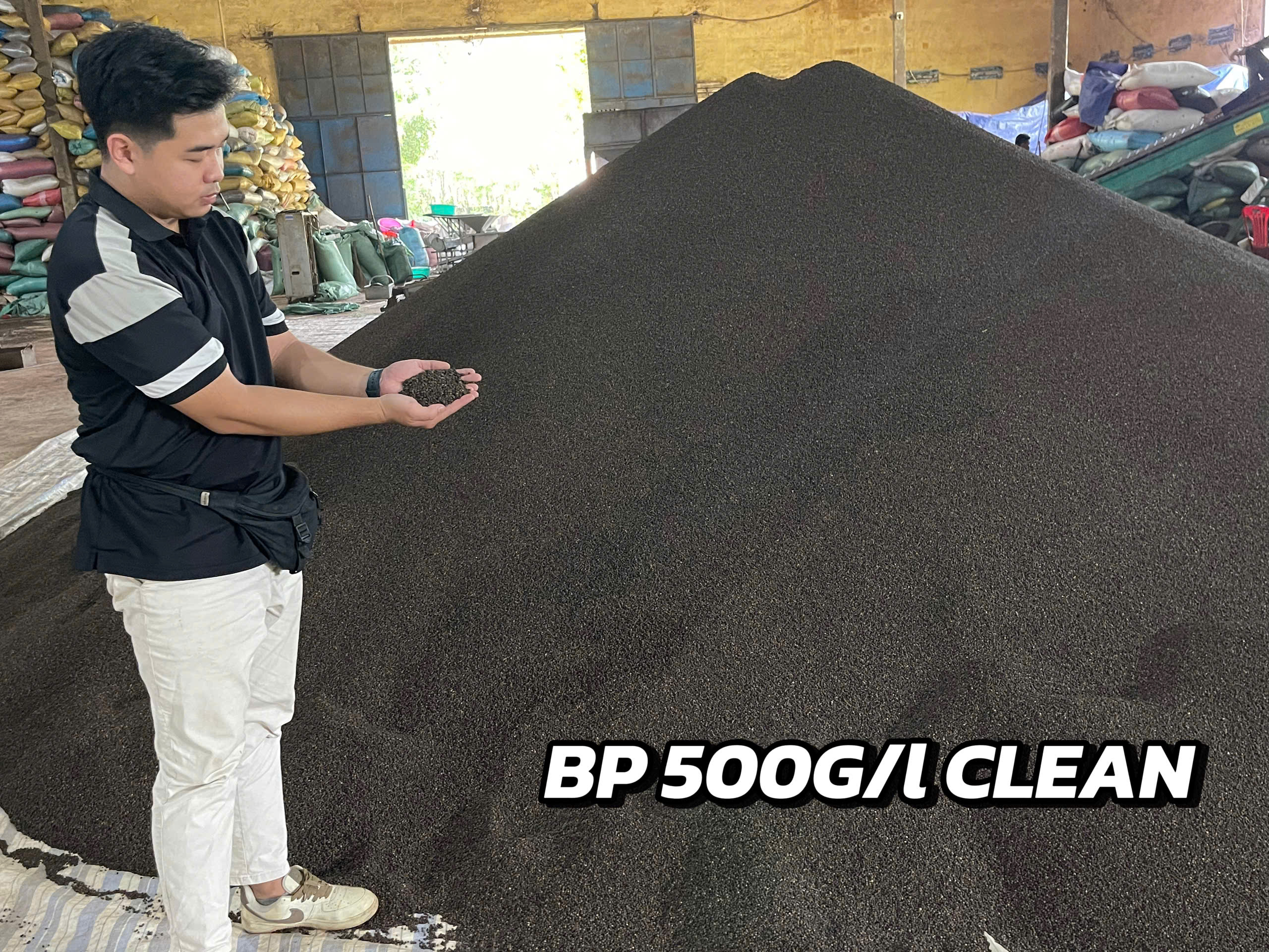 CẦN TÌM FWD HỖ TRỢ XK HẠT TIÊU