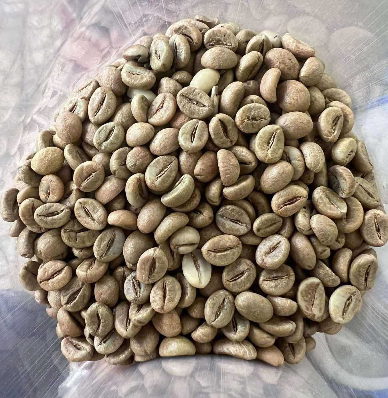 Cần tìm đơn vị vận tải vận chuyển mặt hàng cà phê đến Pozzallo, Ý