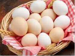 Cần tìm đơn vị vận tải vận chuyển mặt hàng trứng đi Malaysia