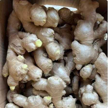 Cần tìm đơn vị vận tải vận chuyển mặt hàng gừng đến Oman