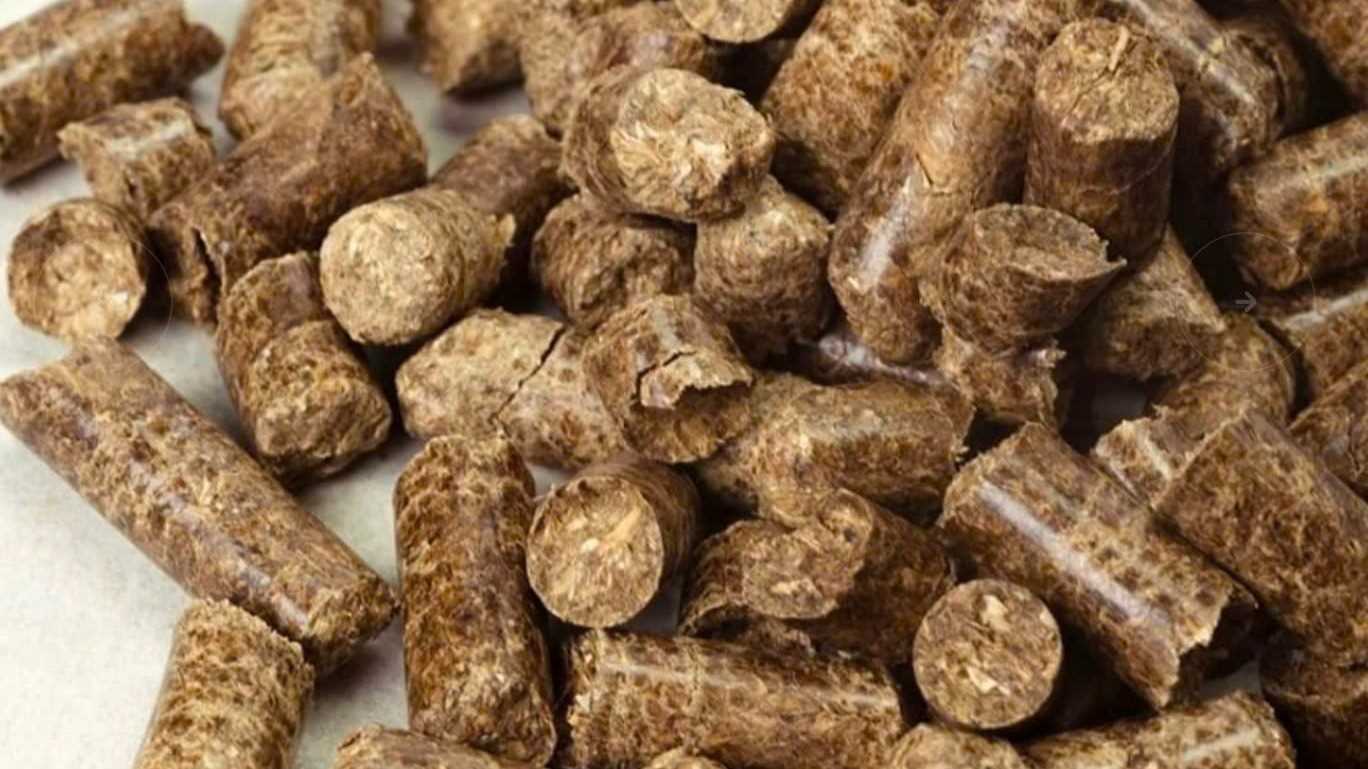 Cần tìm đơn vị vận tải sản phẩm viên nén sang Ấn Độ