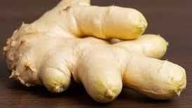 Cần tìm FWD sản phẩm gừng tươi sang Hà Lan