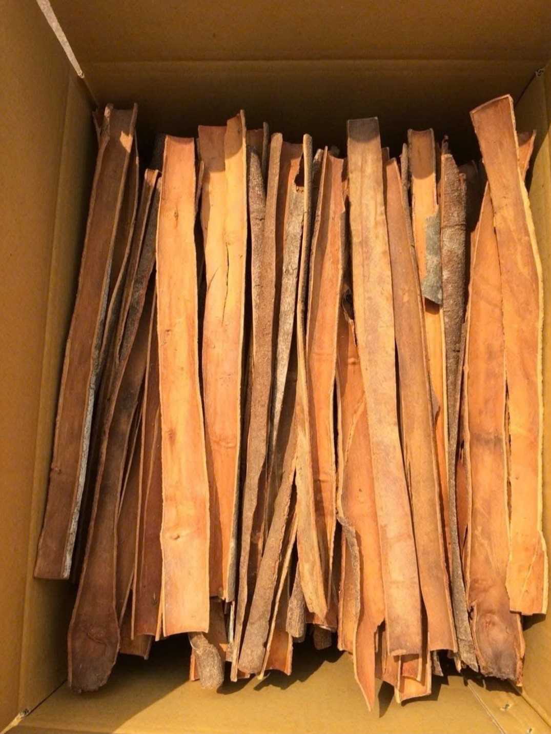 Tìm đơn FWD cho lô hàng Quế tới cảng Nhava Sheva, Ấn Độ