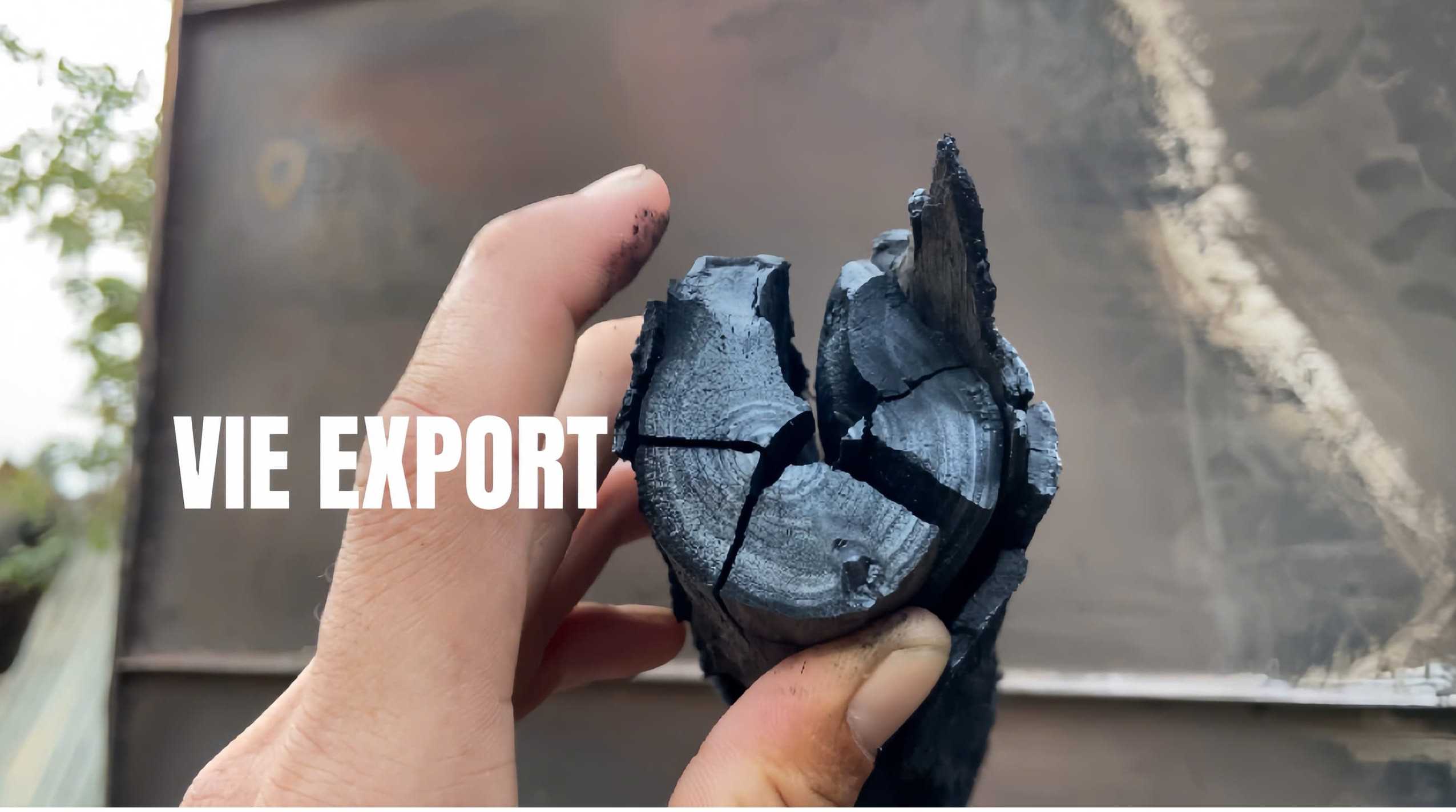 Cần tìm FWD cho 2 cont 40’ than đen củi đước (đã nhận cọc) Cà Mau->Cát Lái->Mersin,Thổ Nhĩ Kỳ