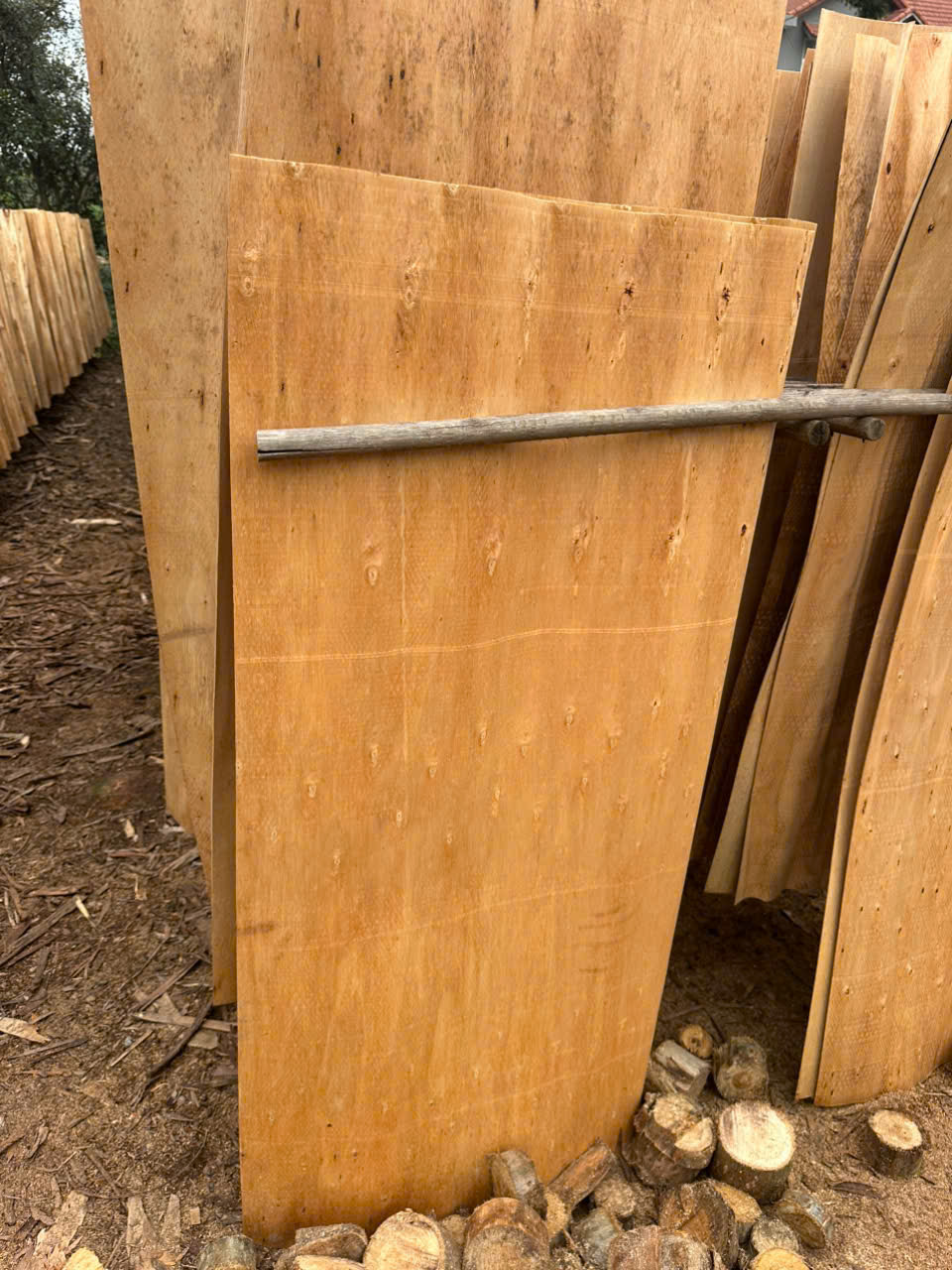 Cần tìm forward đến cảng Chennai, Ấn Độ