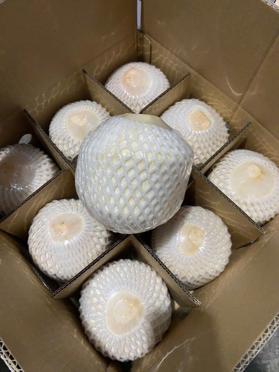 Cần tìm vận chuyển mặt hàng dừa xuất khẩu đi thị trường UAE