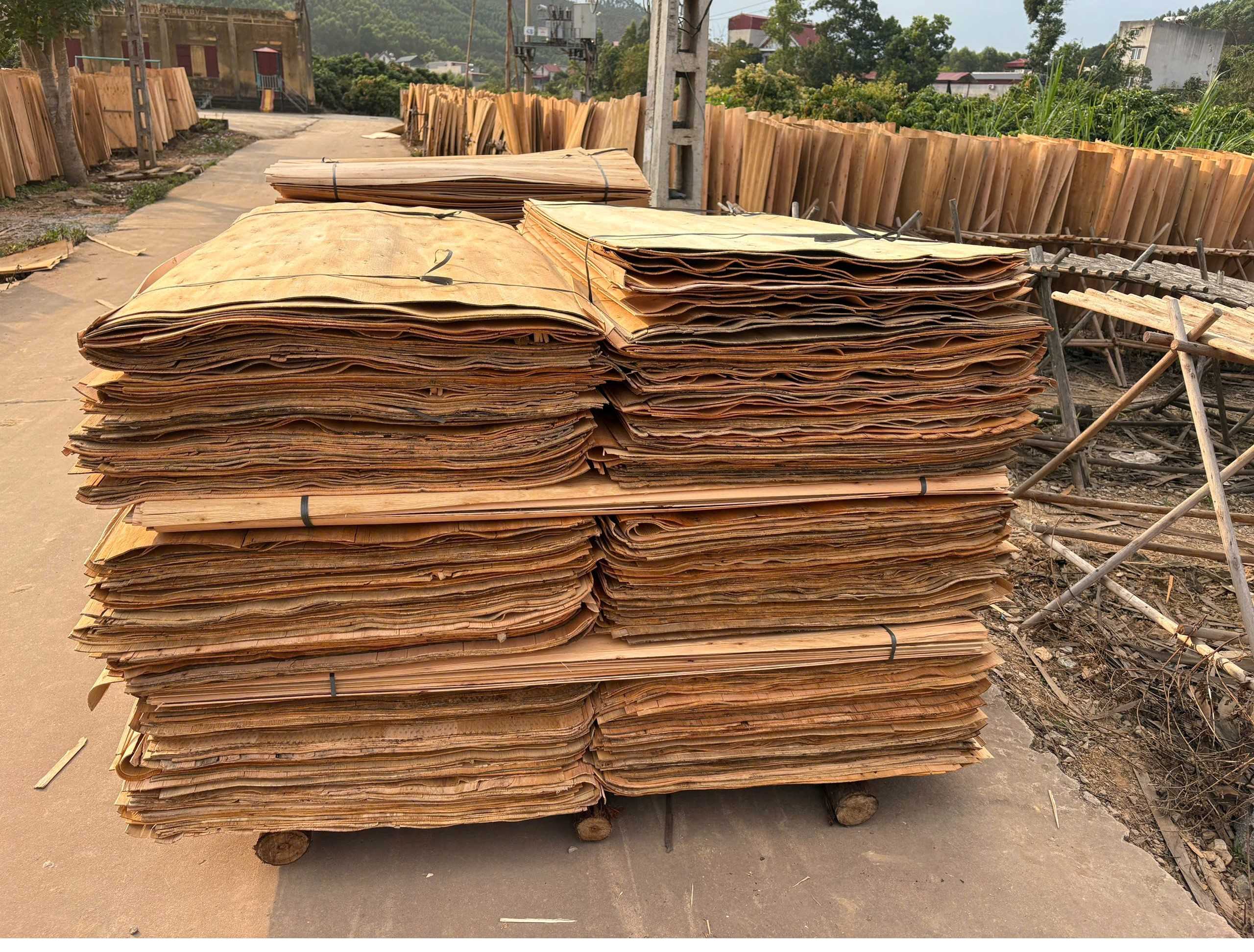 Cần tìm đơn vị vận tải vận chuyển mặt hàng ván bóc đi Ấn Độ