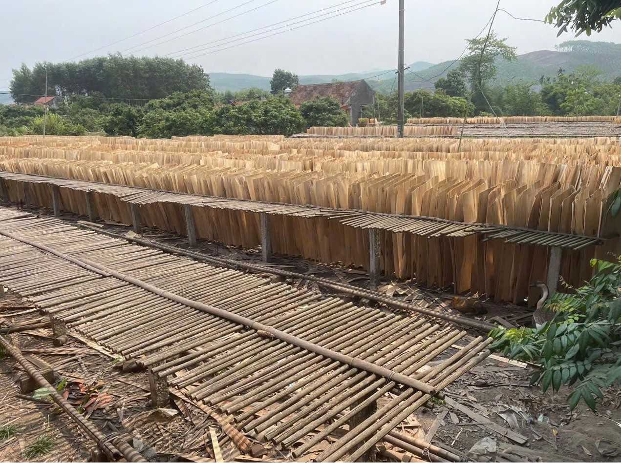 Tìm vận tải hàng ván bóc đi Ấn Độ